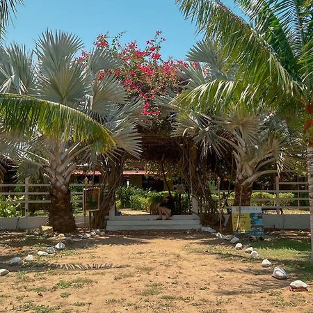 Coccoloba Beach Hostel Дибулья Экстерьер фото